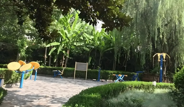 铁拳法师