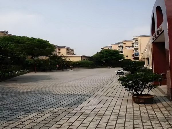 妃常丽质：奋斗在皇家